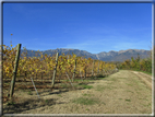 foto Alle pendici del Monte Grappa in Autunno